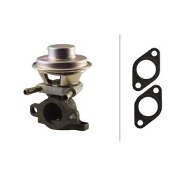 EGR Valve HELLA 6NU 010 171-481 OE Ref 71793031