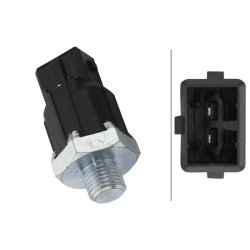 Knock Sensor HELLA 6PG 009 108-881 OE Ref 22060000QA