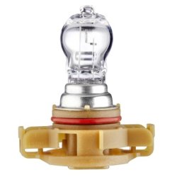 Rear Fog Light Bulb HELLA 8GA 223 569-021