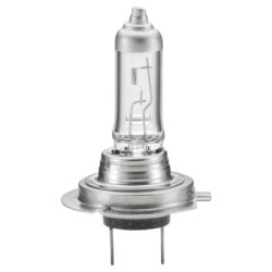 Spotlight Bulb HELLA 8GH 007 157-201 OE Ref 5031 38535