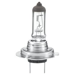 Spotlight Bulb HELLA 8GH 007 157-241 OE Ref 11077651