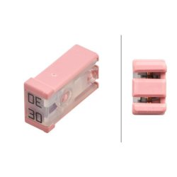 Fuse HELLA 8JS 218 228-041