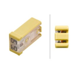 Fuse HELLA 8JS 218 228-071