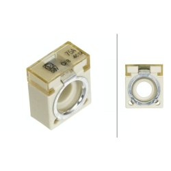 Fuse HELLA 8JS 747 876-011 OE Ref 20223027