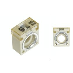 Fuse HELLA 8JS 747 876-021