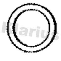 Exhaust Pipe Gasket KLARIUS 411126 OE Ref 18307553601