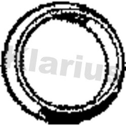 Exhaust Pipe Gasket KLARIUS RNG18