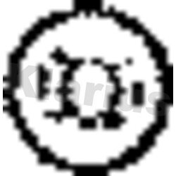 Exhaust Mount KLARIUS RNP28