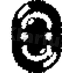 Exhaust Mount KLARIUS VAR5