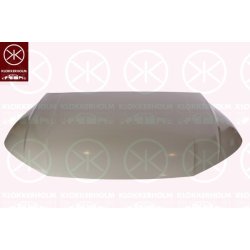 Bonnet KLOKKERHOLM 0039283 OE Ref 80A823029STL