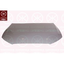 Bonnet KLOKKERHOLM 0041281 OE Ref 8U0 823 029A