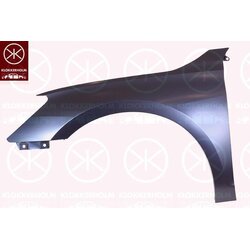 Wing (Fender) KLOKKERHOLM 0049311A1 OE Ref 8Y0821105B