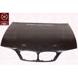 Bonnet KLOKKERHOLM 0061283 OE Ref 41 61 7 065 256