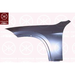 Aile (garde-boue) 0092314 pour BMW X1 OE 41627332424