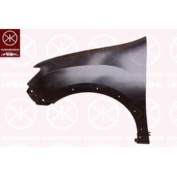 Wing (Fender) KLOKKERHOLM 1306314 OE Ref 631004482R