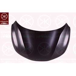 Bonnet KLOKKERHOLM 1618280A1 OE Ref F5100 4EAMA