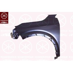 Wing (Fender) KLOKKERHOLM 1619311A1 OE Ref F3101 6UAMA