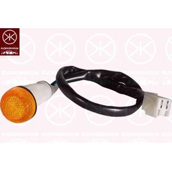 Direction Indicator Light KLOKKERHOLM 20210600 OE Ref 7626742