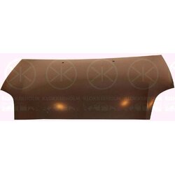 Bonnet KLOKKERHOLM 2029280A1 OE Ref 51775925