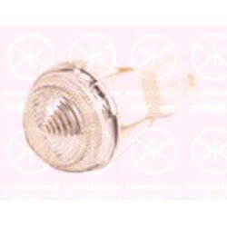 Direction Indicator Light KLOKKERHOLM 20310570 OE Ref 46769163