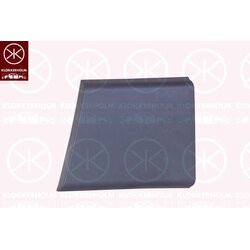 Door Trim/Protection Strip KLOKKERHOLM 20970016 OE Ref 000735422945