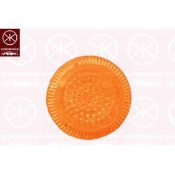 Direction Indicator Light KLOKKERHOLM 25070560 OE Ref 1353531