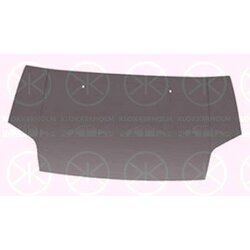 Bonnet KLOKKERHOLM 2507281A1 OE Ref 5 149 226