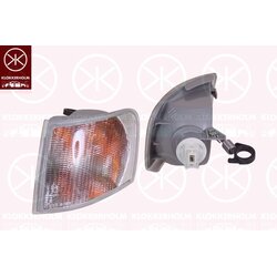 Direction Indicator Light KLOKKERHOLM 25300362 OE Ref 6 729 789