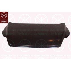 Bonnet KLOKKERHOLM 2533281A1 OE Ref 1 521 601