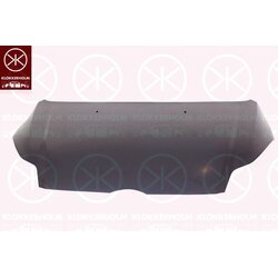 Bonnet KLOKKERHOLM 2536280 OE Ref 1 767 948