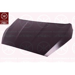 Bonnet KLOKKERHOLM 2536281A1 OE Ref 1 852 919