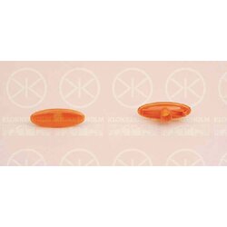 Direction Indicator Light KLOKKERHOLM 25540600 OE Ref 7169399