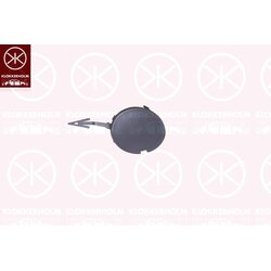 Tow Hook Lid KLOKKERHOLM 2556919A1 OE Ref 1 704 623