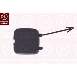 Tow Hook Lid KLOKKERHOLM 2556965 OE Ref 1 483 967