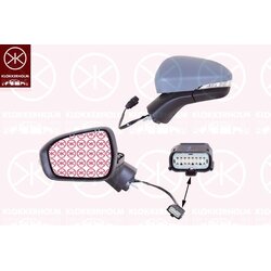 Exterior Mirror KLOKKERHOLM 25581041 OE Ref 5 320 249