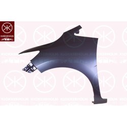 Wing (fender) KLOKKERHOLM 2902312 OE Ref 60211T5RA90ZZ