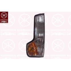 Indicateur de direction 30821057 pour IVECO DAILY 00005802495900