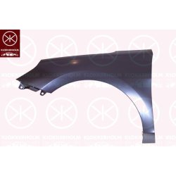 Aile (garde-boue) 3137313A1 pour HYUNDAI ELANTRA, i30 OE 66310G3000