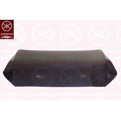 Bonnet KLOKKERHOLM 3140280 OE Ref 66400J9000