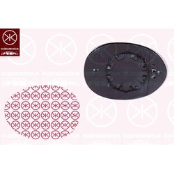 Exterior Mirrors Glass KLOKKERHOLM 40021061 OE Ref 51 16 7 366 039