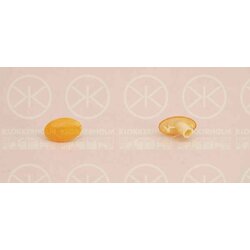 Direction Indicator Light KLOKKERHOLM 50220600 OE Ref 90487599