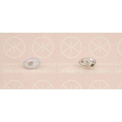 Direction Indicator Light KLOKKERHOLM 50220610 OE Ref 17 13 011