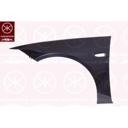 Wing (fender) KLOKKERHOLM 5073311 OE Ref 39125437