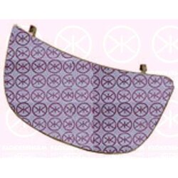 Exterior Mirrors Glass KLOKKERHOLM 50891065 OE Ref 96366 00QAJ