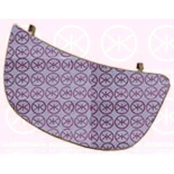 Exterior Mirrors Glass KLOKKERHOLM 50891066 OE Ref 96365 00QAL