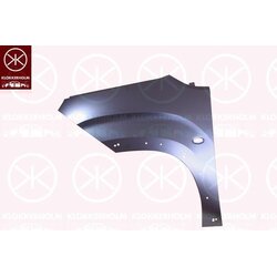 Wing (Fender) KLOKKERHOLM 5563314 OE Ref 9816483580