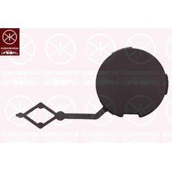 Tow Hook Lid KLOKKERHOLM 5563965A1 OE Ref 9818325080