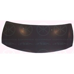 Capot 6033281A1 pour RENAULT CLIO 77 51 476 113