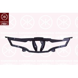 Radiator Grille KLOKKERHOLM 6034996 OE Ref 62 81 099 06R