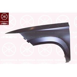 Wing (Fender) KLOKKERHOLM 6633312 OE Ref 575821106A